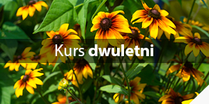 Kurs dwuletni